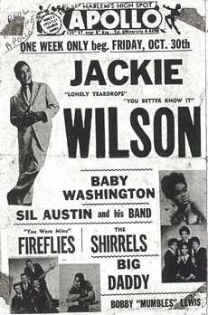 The Fireflies at the Apollo Theater with Jackie Wilson and The Shirrels, along with other classic Doo Wop groups.